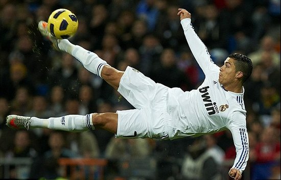 本质提供保 本质提供保