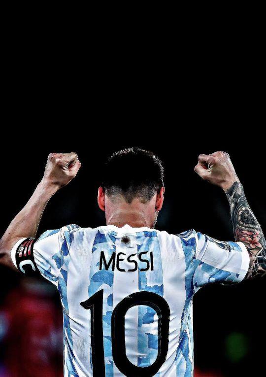 的适应力 的适应力